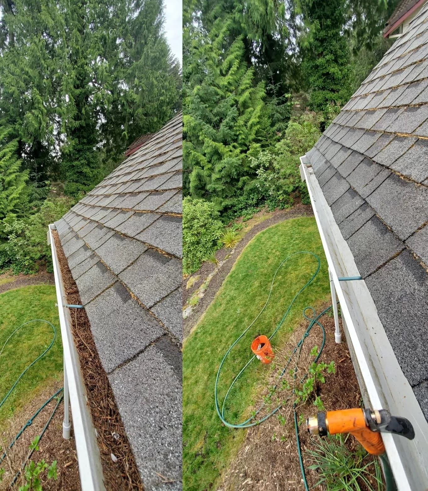 Roof and gutter cleaning before and after